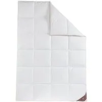 HÄUSSLING Royal Daunen-Kassettenbettdecke warm (155 x 220 cm)