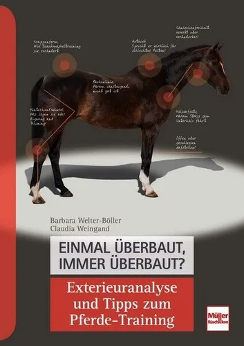 Exterieuranalyse Tipps zum Pferde-Training: Ratgeber für anatomische Grundlagen - Bücher über Pferde, praxisorientierte Tipps für effektives Training und ein besseres Verständnis der Anatomie Ihres Pferdes.
