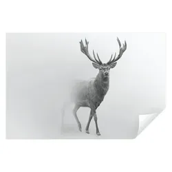 Fototapete Hirsch Tiere Grau 350x250 cm - inkl. Kleister - für Wohnzimmer Schlafzimmer Flur Modern Vlies Tapete Vliestapete Wandtapete Motivtapeten UV-Beständig