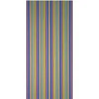 PVC-Streifenvorhang Brillant - Schiebevorhang aus 100 % PVC, robust und ideal für gewerbliche sowie private Anwendungen, Maße: 90 × 200 cm.