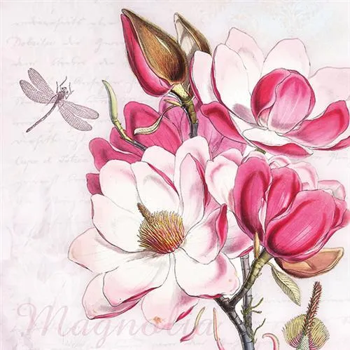 Servietten Magdalena Magnolien Gemalt Blumen Natur Garten weiß  pink 33x33cm 20