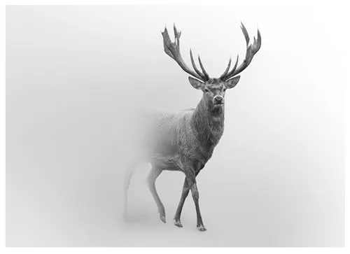 Fototapete Hirsch Tiere Grau 300x210 cm - inkl. Kleister - für Wohnzimmer Schlafzimmer Flur Modern Vlies Tapete Vliestapete Wandtapete Motivtapeten UV-Beständig