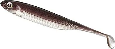 Fish Arrow Flash J Shad 4,5inch Wakasagi/Silver