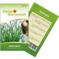 Deine Gartenwelt Zyperngras Samen