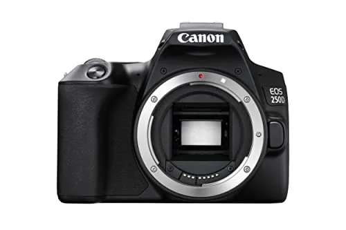 Canon EOS 250D Digitale Spiegelreflexkamera Body - 24,1 MP, 4K Video, variabel schwenkbares Display und Dual Pixel AF für perfekte Aufnahmen