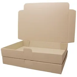 Maxibrief Kartons 350x250x50 mm Warensendung DHL DIN B4 braun 100