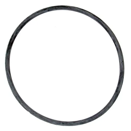 Tetra Dichtungsring O-Ring EX 600/800 Plus