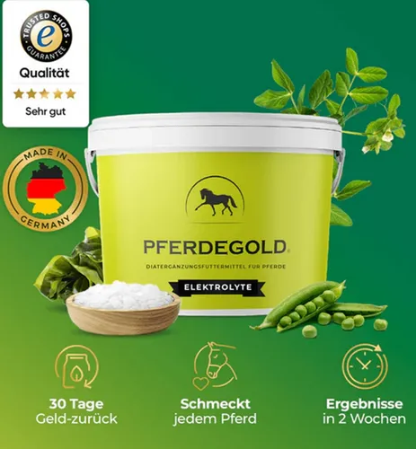 Pferdegold Elektrolyte - Diät-Ergänzungsfuttermittel für Pferde - Ergänzungsfuttermittel zur Unterstützung der Hydration, hergestellt in Deutschland für höchste Qualität und sofortiger Versand.
