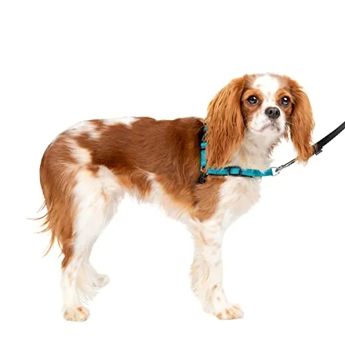 PetSafe Easy Walk Deluxe Anti-Zieh-Geschirr, Verringert Würgen und Husten, Mit Reflektoren ausgestattet, Größe S, Blau
