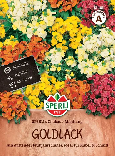 Goldlack, Sperling's Chupado Mischung - Saatgut - Entdecken Sie die Goldlack, Sperling's Chupado Mischung für eine farbenfrohe Blütenpracht in Ihrem Garten. Ideal zur Verschönerung und für kreative Gartenprojekte.
