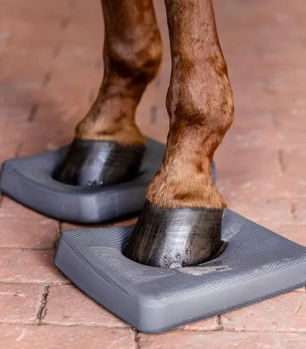 Waldhausen Health & Care Balance Pads - Pferdefutter: Effektive Trainingshilfe zur Förderung der Tiefenmuskulatur und Körperwahrnehmung deines Pferdes, ideal für alle Alters- und Trainingsstufen.