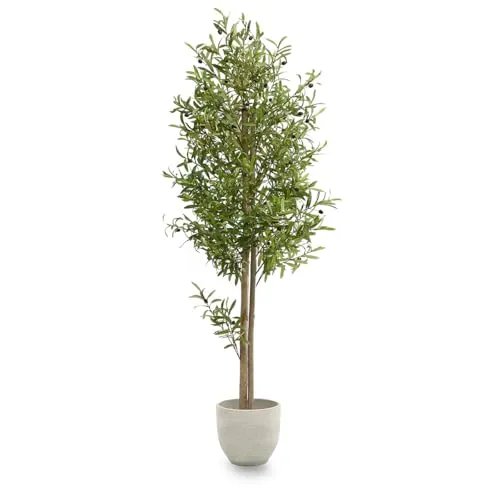 Maia Shop | Olivenbaum Künstlich | Kunstpflanzen | Künstlicher Baum | Maße: 180 x 60 cm | Kunstpflanze Groß | Fake Plant | Plastik Pflanze | Deko | Deko Wohnzimmer