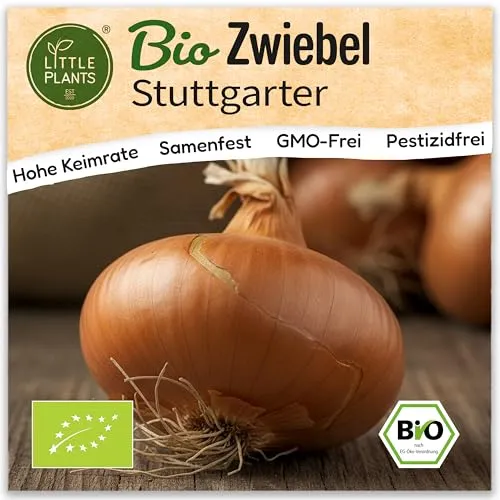 Little Plants BIO Zwiebel Samen 200 Zwiebelsamen Stuttgarter Gemüsezwiebel Gemüsesamen Gemüsesaatgut für Gemüsegarten, Hochbeet, Küche, Balkon und Garten