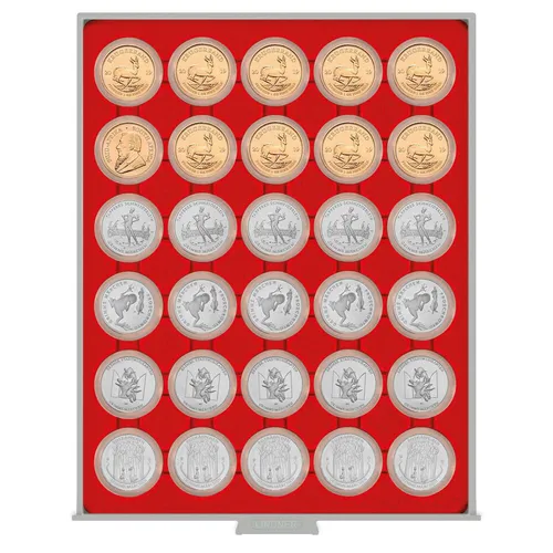 LINDNER Münzbox 2226 Standard für 30 x 10 DM/10 €/20€/ Krügerrand in Münzkapseln