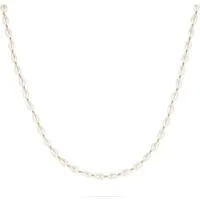 Valeria Kette 89092671 aus 585er Gelbgold - Elegante Valeria Kette 89092671 aus 585er Gelbgold, ideal für besondere Anlässe. Hochwertige Verarbeitung und zeitloses Design machen sie zum perfekten Schmuckstück.