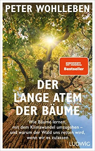 Der lange Atem der Bäume: Wie Bäume lernen, mit dem Klimawandel umzugehen - Umweltwissenschaft – Entdecken Sie, wie Bäume sich an den Klimawandel anpassen und welche Rolle der Wald für unsere Zukunft spielt.