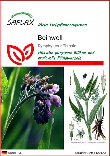 SAFLAX Blumensamen SAFLAX - Samen - Beinwell