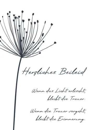Perleberg Grußkarten Trauer – Beileid – Kondolenz - Beileidskarte im Format 11,5x17cm