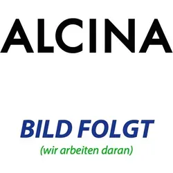 ALCINA Styling-Mousse Aersol 150 ml