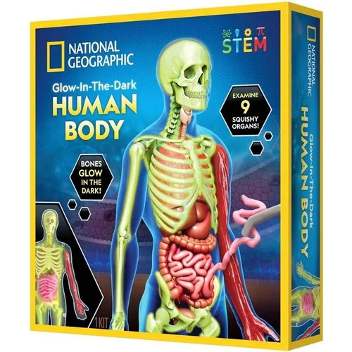 National Geographic Human Body Science Kit 29-2454 - Experimentierkasten zur Entdeckung der menschlichen Anatomie mit realistischem Modell und herausnehmbaren Organen – ideal für junge Wissenschaftler!