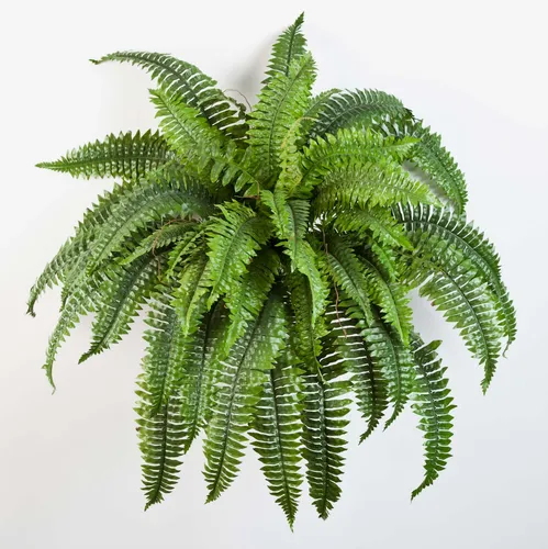 artplants Künstlicher Schwert Farn Samuel, 50 Blätter, grün, Ø 90cm, 60cm