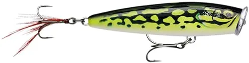 SKITTER POP ELITE SPE75 GDLF