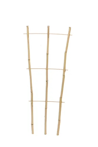 Pflanzgitter Bambus floraworld 32x75cm
