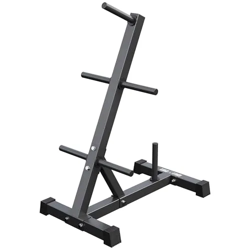 GORILLA SPORTS® Hantelscheibenständer - 6 Scheibenaufnahmen, belastbar bis 200 kg - Scheibenständer für Krafttraining, ideal zur platzsparenden Organisation Ihrer Gewichtsscheiben und gefertigt aus robustem Stahl für höchste Stabilität.