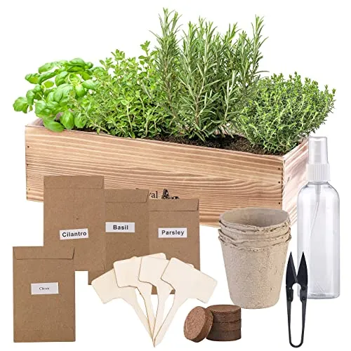 Royal Gardineer Pflanzensamen: Geschenkbox Anzuchtset italienische Kräuter mit Samen, Schere, Sprüher (italienische Kräuter Pflanzen, Kräuter-Anzuchtset Fensterbank, Mini Gewächshaus)