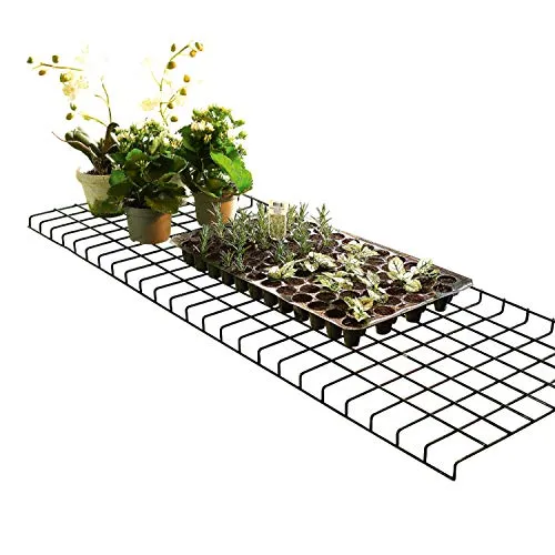 Bio Green Gewächshaus Regal "Bruno" klappbar aus Stahl 40 x 120 cm - Praktisches Gewächshaus Regal, klappbar und aus robustem Stahl, perfekt für Balkon oder Garten zur optimalen Pflanzenpflege.