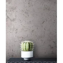 NEWROOM Tapete Grau Vliestapete Beton - Betonoptik Modern Anthrazit Zement Betonwand Industrial inkl. Tapezier-Ratgeber