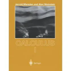 Calculus I (Undergraduate Texts in Mathematics) - Mathematik-Lehrbuch für Studierende, bietet eine klare Einführung in die Grundlagen der Differential- und Integralrechnung.