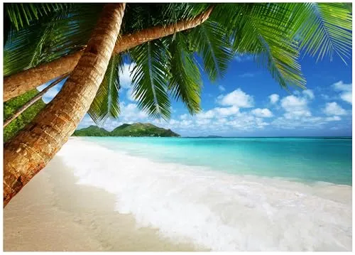 Fototapete Strand Meer Palmen Blau Karibik Ozean 350x250 cm - inkl. Kleister - für Wohnzimmer Schlafzimmer Flur Modern Vlies Tapete Vliestapete Wandtapete Motivtapeten UV-Beständig