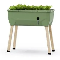 Gusta Garden Hochbeet Sammy Salad Dunkelgrün - Das Hochbeet SAMMY SALAD fördert ertragreiches Anpflanzen von Salaten und Kräutern. Ideal für Balkon und Garten, bietet es optimale Wachstumsbedingungen und ist platzsparend. Genießen Sie frische Ernten das ganze Jahr!