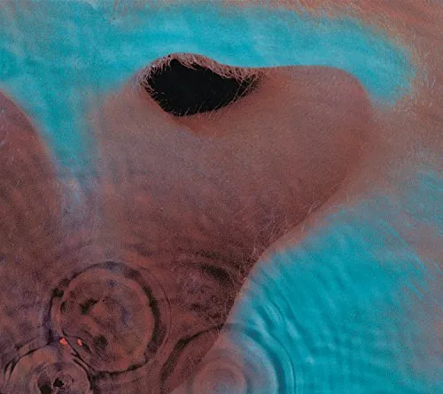 Pink Floyd Meddle (Vinyl) 12" Album - Schallplatte im Rock-Genre, US Import mit einer Spieldauer von 46:46 Minuten – ein Muss für jeden Pink Floyd Fan!