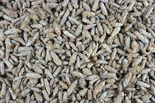 1000Kräuter Kiefernsprossen ganz Kiefernknospen Kräutertee Tee (100g)