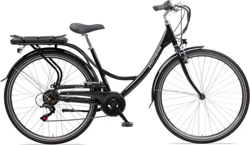 Teutoburg Senne Pedelec Citybike Elektrofahrrad schwarz - E-Bike mit 28 Zoll und 10,4 Ah/36V Lithium-Ionen Akku, ideal für komfortable Fahrten bis 50 km Reichweite und 25 km/h Tretunterstützung.