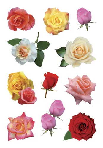 HERMA Sticker DECOR "Rosenblüten bunt" 3 Blatt à 11 Sticker