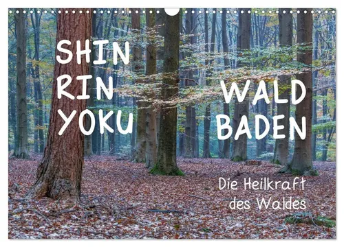 Irma van der Wiel www. kalender-atelier. de | Shinrin yoku - Waldbaden 2026...