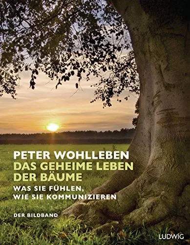 Das geheime Leben der Bäume: Bildband über Baumkommunikation - Luft Malerei, faszinierender Bildband über die Kommunikation und Emotionen von Bäumen, ergänzt durch den vollständigen Text der Originalausgabe.
