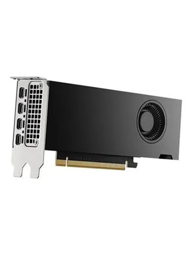 DELL NVIDIA RTX 2000 Ada 16GB GDDR6 - Hochleistungs-Grafikkarte - Grafikkarten für PC mit 16 GB GDDR6-Speicher, ideal für Gaming und kreative Anwendungen. Unterstützt 4 Displays und bietet eine maximale Auflösung von 7680 x 4320 Pixel.