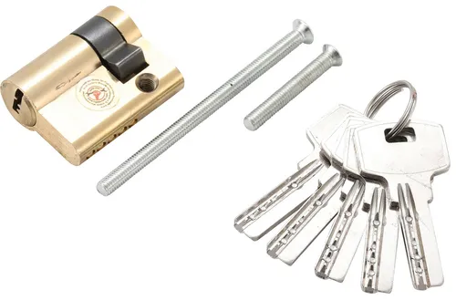 BGS Do It Yourself Garagentor-Schließzylinder 40 mm - Vorhängeschlösser, sicherer Schutz für Garagentore mit einfachem DIY-Einbau und robustem Design.