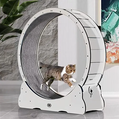 CanadianCat Katzenlaufrad aus Holz - CatInMotion | Bausatz Weiß Ø100cm - Hochwertiges Katzenlaufrad aus Multiplex-Holz, ideal für Katzen aller Größen. Stimuliert die natürlichen Instinkte und bietet leisen Spielspaß. Sicher und langlebig, perfekt für aktive Katzen!