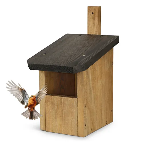 Waldfunk Nistkasten Halbhöhle für Rotkehlchen & Co. - Wetterfester Nistkasten aus massivem Holz, ideal für Vögel wie Rotkehlchen. Mit hängender Montage und natürlichem Design für eine harmonische Gartengestaltung.