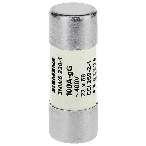 Siemens SENTRON Zylindersicherung 3NW6205-1 - Leistungsschalter mit 16 A und 690 V, idealer Schutz für Geräte und Leitungen, hohe Abschaltleistung von 120 kA.