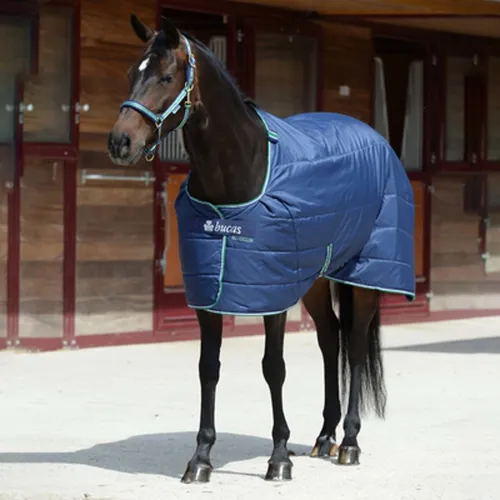 Bucas Unterdecke 300g Quilt Stay Dry Navy 115 - Vielseitige Unterdecke für Pferde mit 300g Füllung. Hergestellt aus langlebigem Oxford Polyester, bietet sie optimalen Komfort und Schutz. Ideal als Stalldecke oder als zusätzliche Schicht unter Bucas Decken.