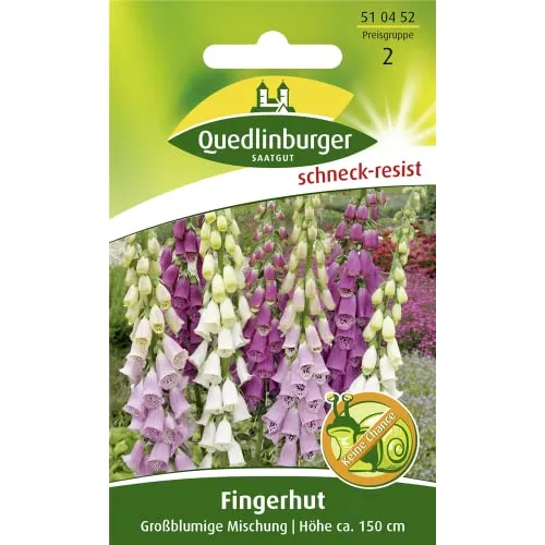 Fingerhut, Großblumige Mischung