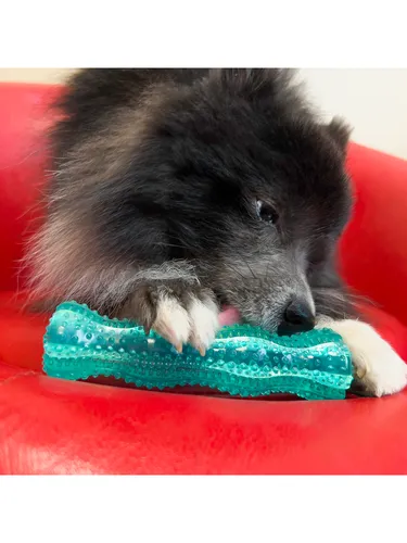 KONG Dog Toy Squeezz Dental Stick Medium 19cm