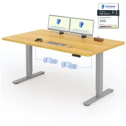 FLEXISPOT Schreibtisch Basic Plus Elektrisch höhenverstellbarer Schreibtisch (2 Motore & 2-Fach-Teleskop & 4 Höhenspeichertasten), MIT 25MM einteiliger Tischplatte, 120/140/160 160 cm x 80 cm