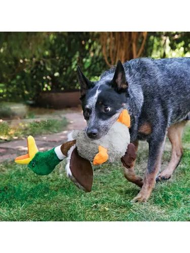 KONG Dog Toy Shakers Honkers Duck Large 45cm